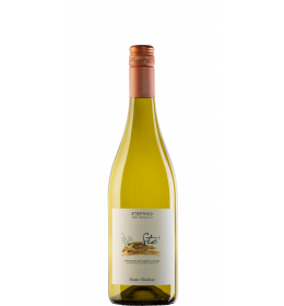 S. Barbara - STE' Bianco Verdicchio Jesi doc