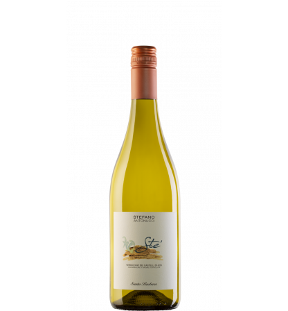 S. Barbara - STE' Bianco Verdicchio Jesi doc